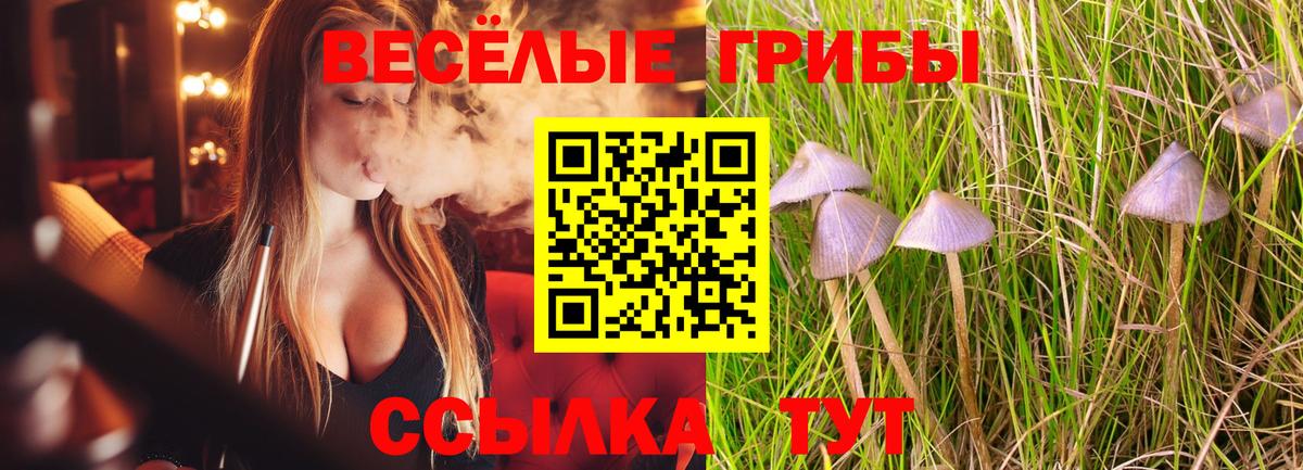 Кузнецк  Галлюциногенные грибы Psilocybine cubensis  Вход с VPN  Галлюциногенные грибы MAGIC MUSHROOMS 