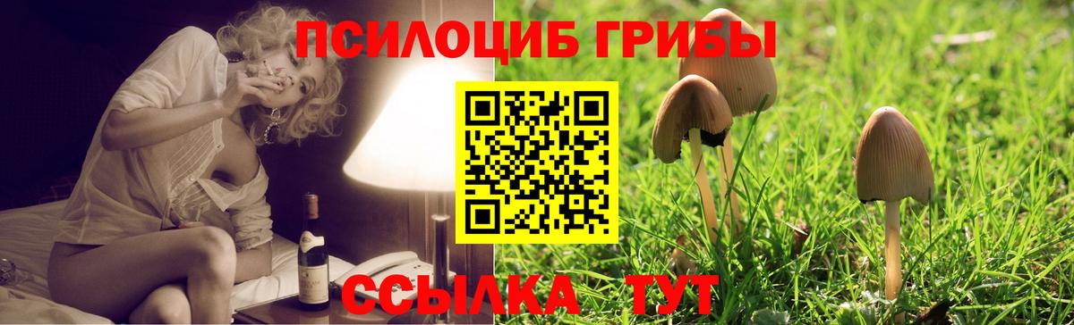 Псилоцибиновые грибы Magic Shrooms Кузнецк